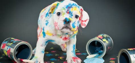 Can Paint Fumes Kill You? And Why Do They Smell Like Childhood Memories?