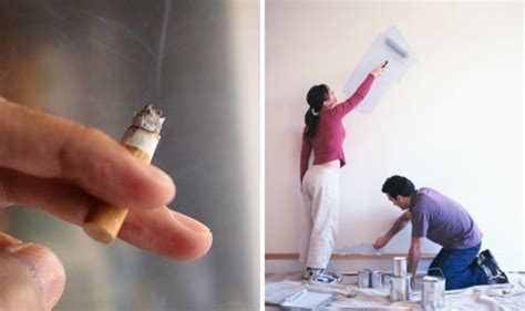 Can You Paint Over Cigarette Smoke Walls? And Why Do We Even Bother with Walls?