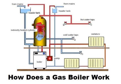 How Does a Boiler Heating System Work? And Why Do Cats Love Warm Radiators?