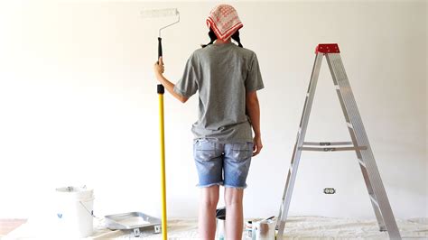 How Long Does It Take House Paint to Dry and Why Do Cats Stare at Walls Afterward?